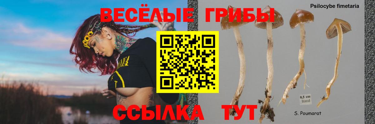 Псилоцибиновые грибы прущие грибы Советская Гавань